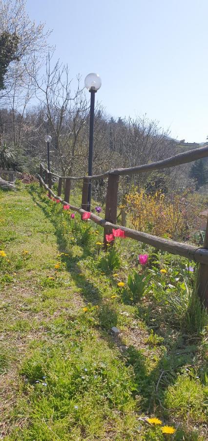 Villa Maria Mignanego 外观 照片
