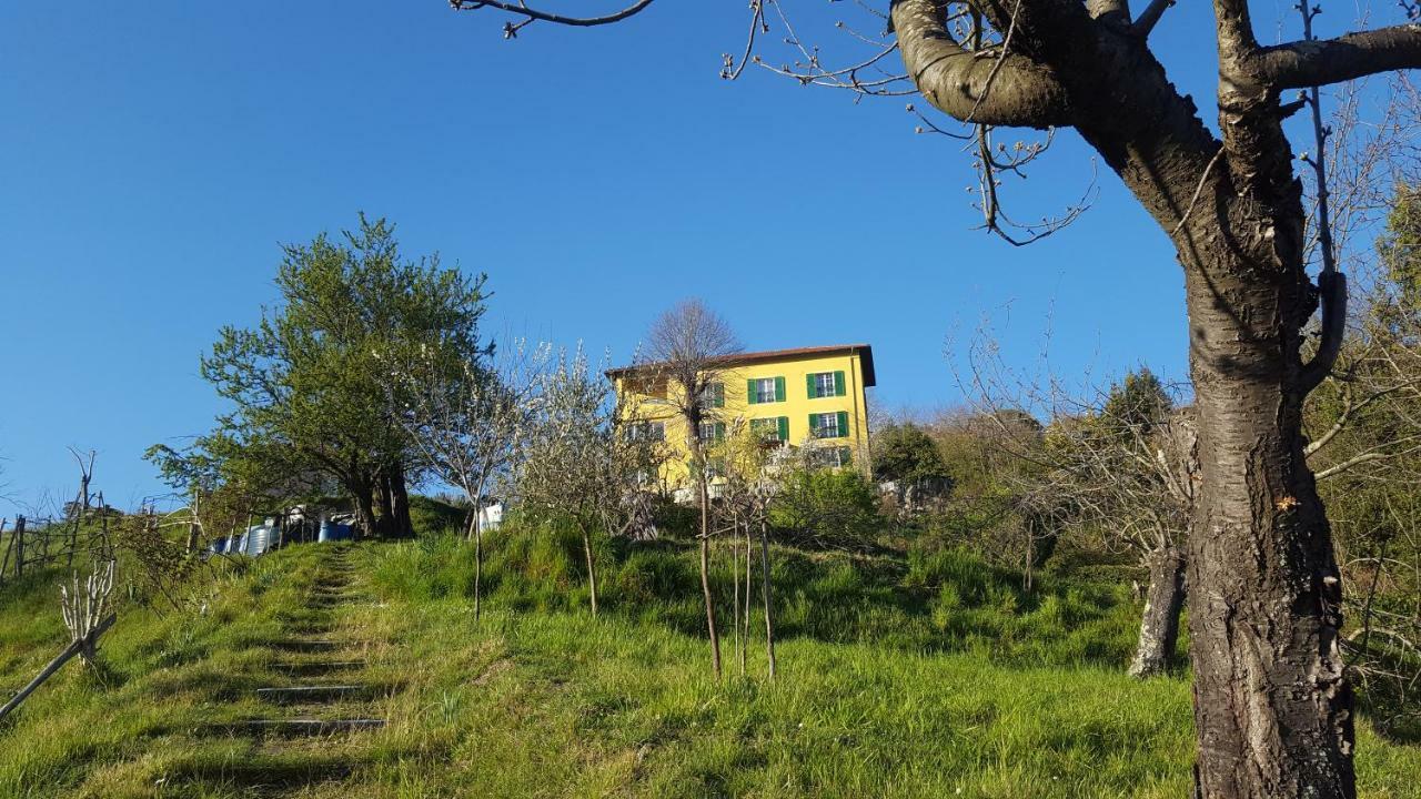 Villa Maria Mignanego 外观 照片